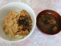 スピードアップクラス